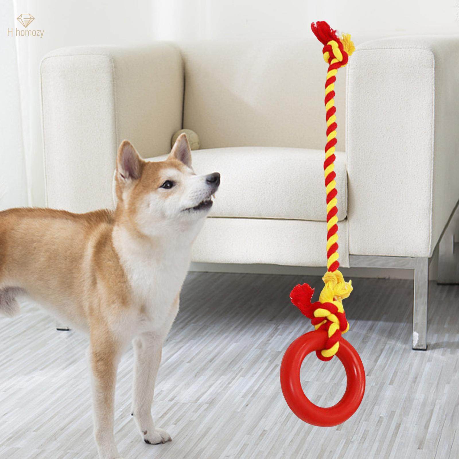 Chew Toys Yard Running Puppy Garden Dogs Rope Toy Interactive Dog Tug Toy Red. 