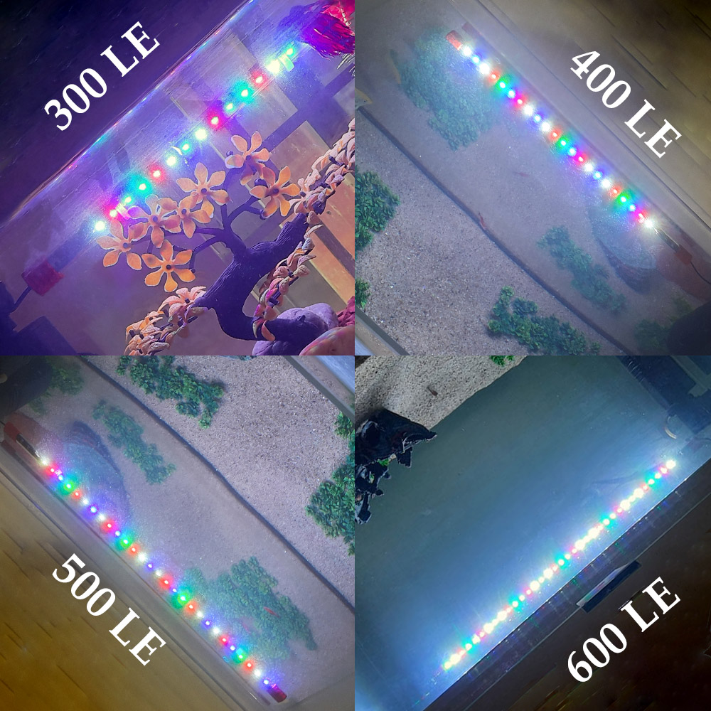 RS Submersible Aquarium LED Light (12 inch To 24 Inch) - 4 Variations - Multicolor Underwater Lights For Both Freshwater and Seawater Tanks. 