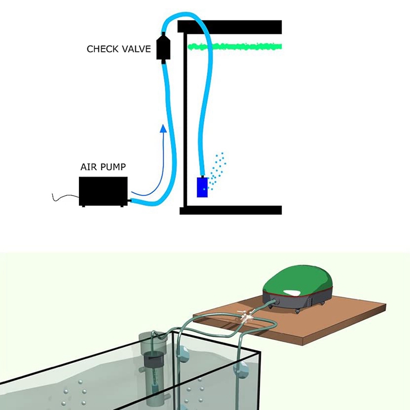 What Is An Aquarium Pump? How Does A Fish Tank Pump Work