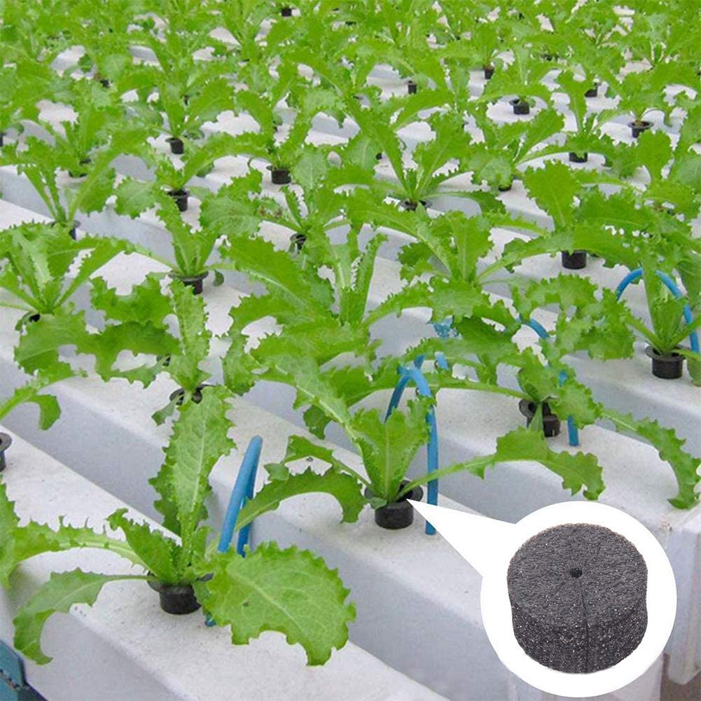 collars, vegetable grade foam inserts, hydroponic system, balcony germinate in DIY cloning machine and cloning machine (black)