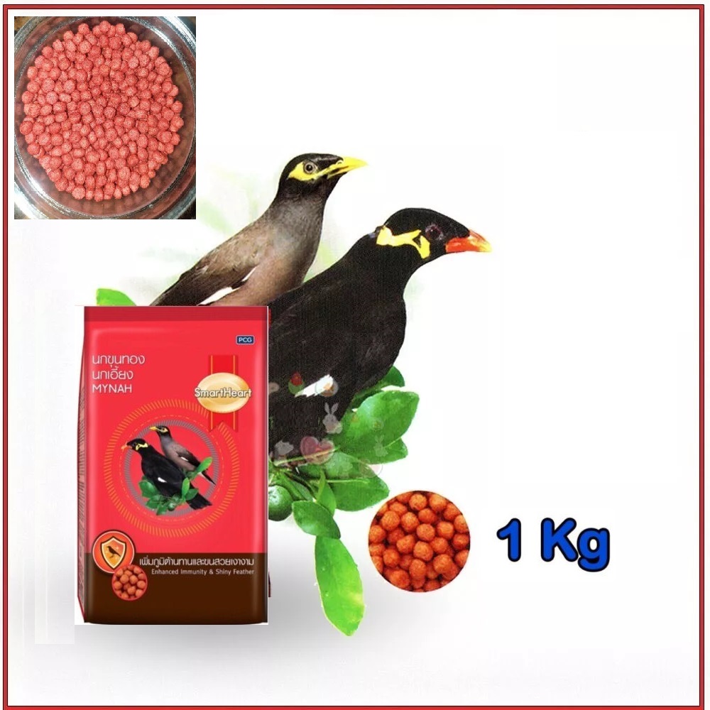 SmartHeart Original Mayna Shalik bird food with all vitamins - Enhanced Immunity & Shiny Feather 1KG
