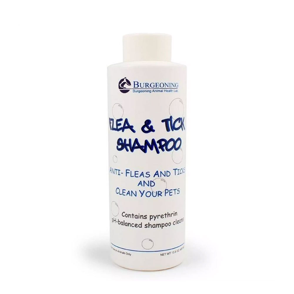 flea and tick shampoo target