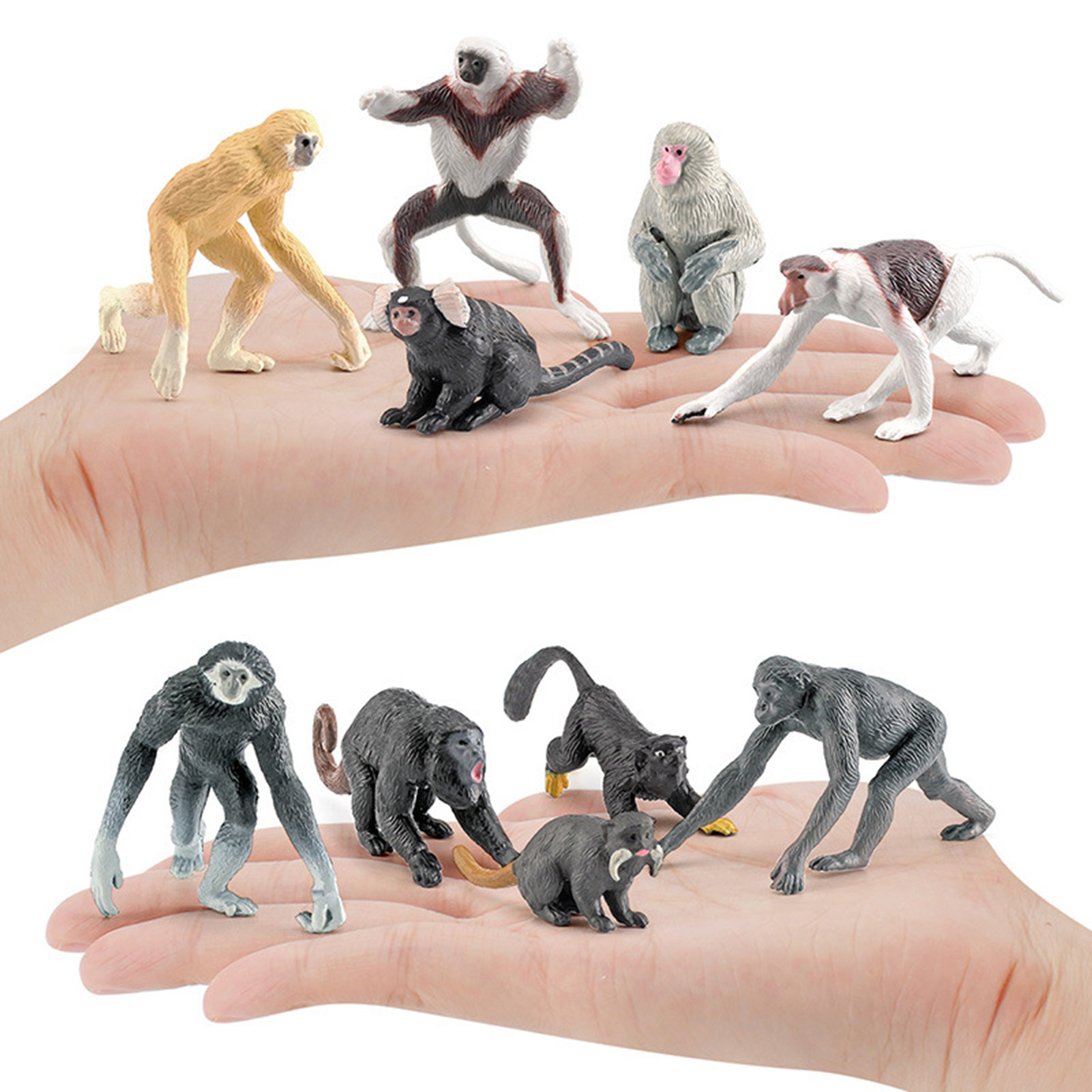 Gibbon Orangutan Figure tion Figure Gibbon Orangutan Figure Simulation Primates Model. 