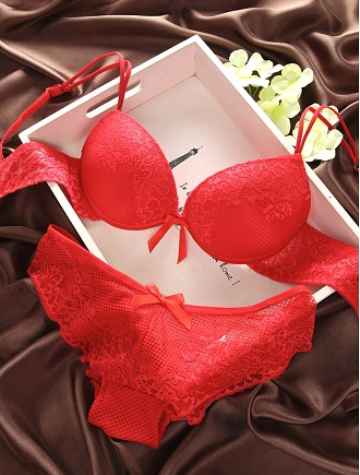 Bra Panty- Lace Bikini Set- (Red Color) Price in Bangladesh