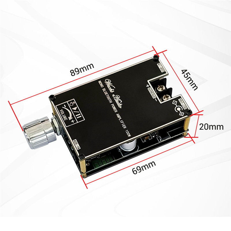 Mono 100W Bluetooth Audio Amplifier Board with TWS Box Function Audio Module DC7-24V ZK-1001B. 
