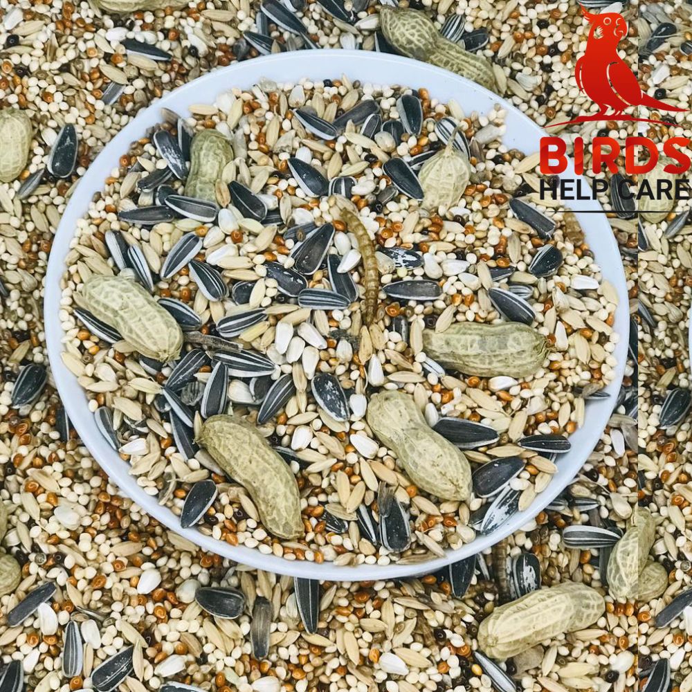 Ringneck Parrot Premium Seed Mix For Bird-1kg. 