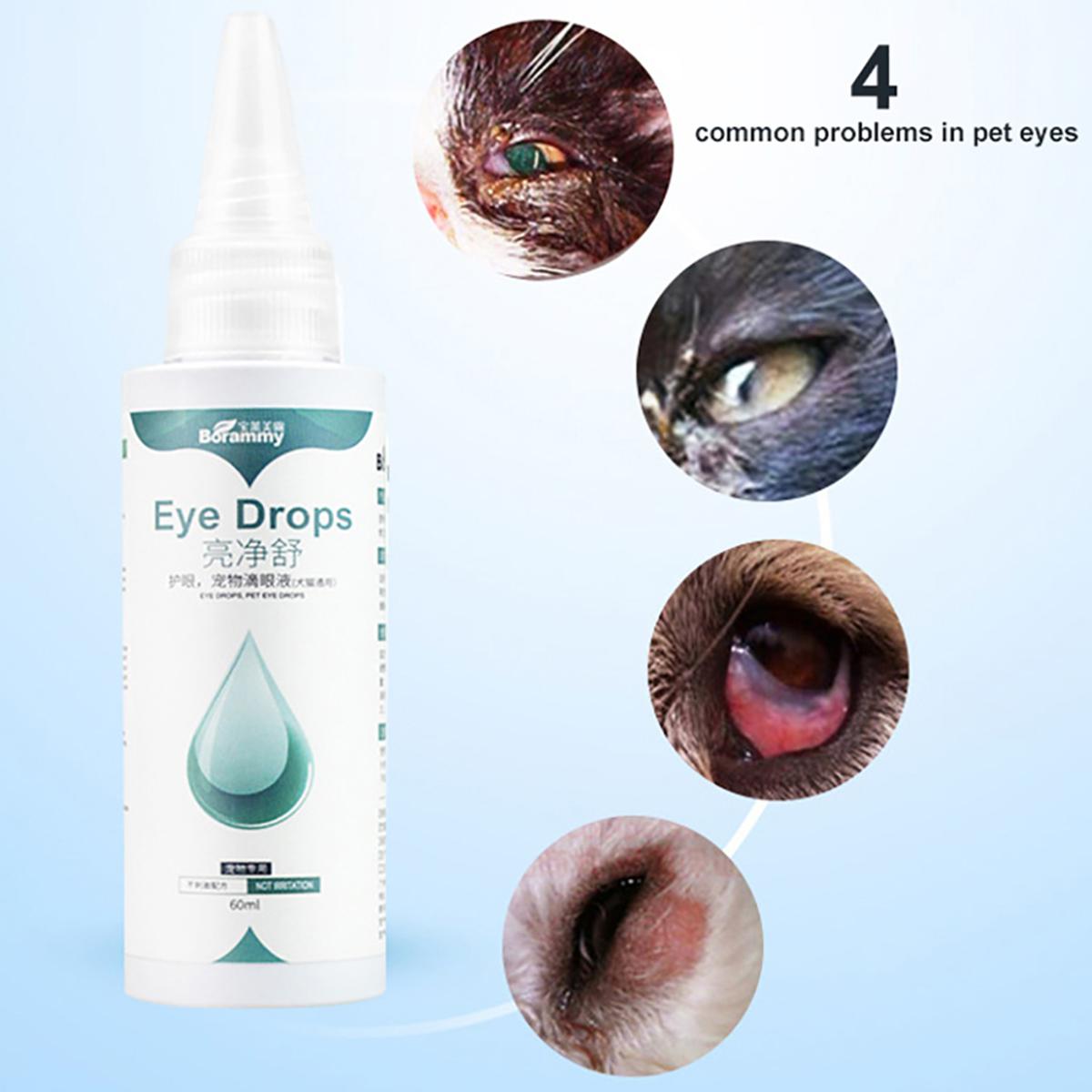 Eye Drops Kitten Infected Eyes Home Remedy Kitten Eye Infection