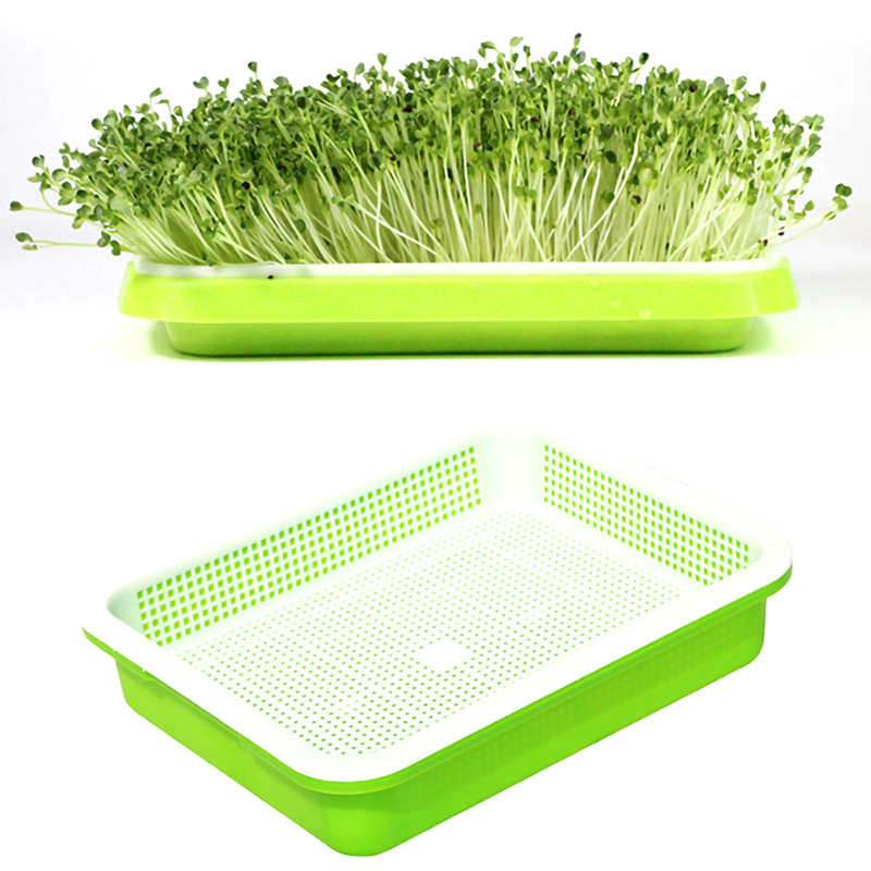 【3C VictoryEagle】Seedling Double-Layer Nursery Tray Hydroponics Basket BDM. 