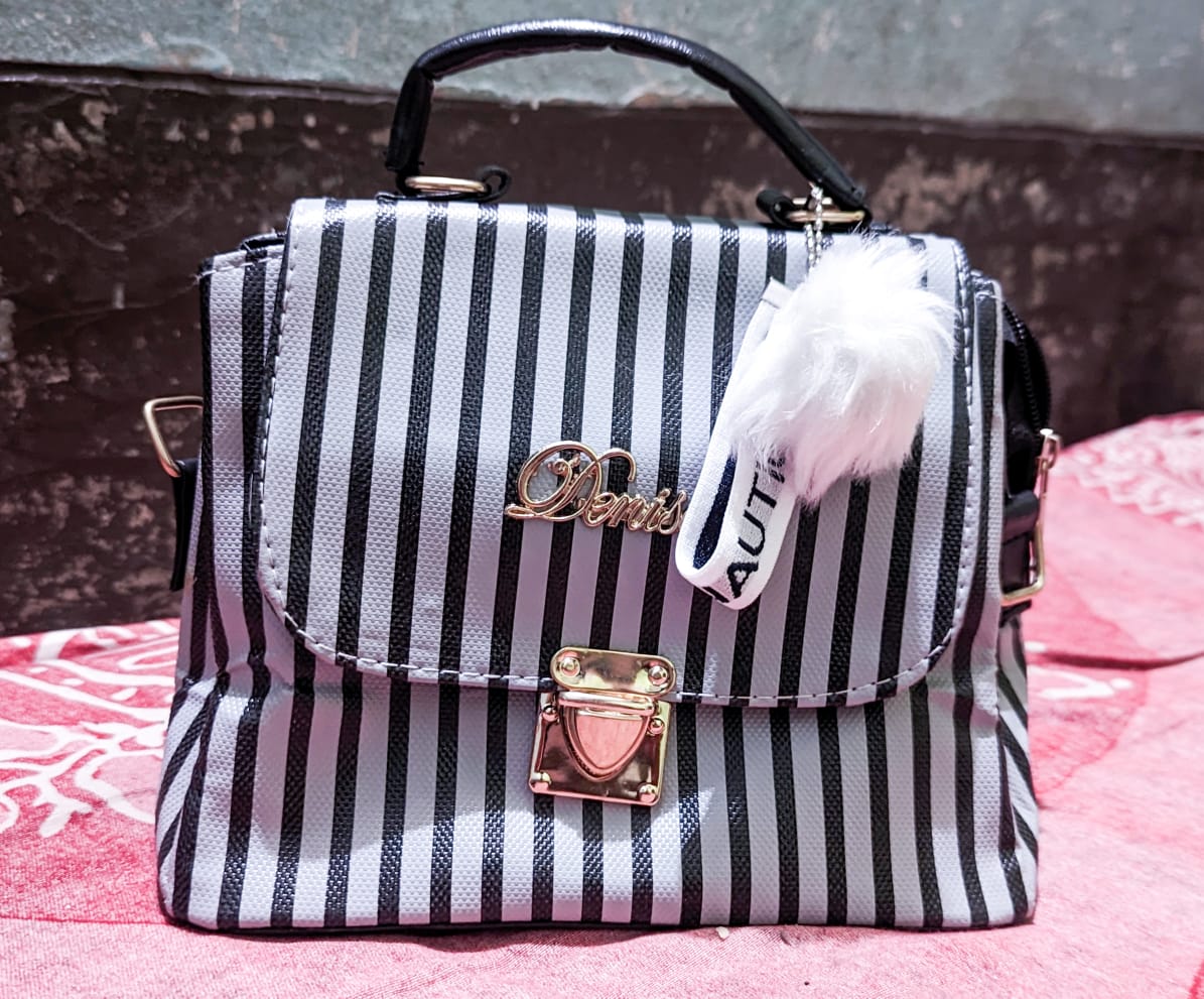 Superlative Trendsetter -Craftsmanship and Trendy -Fashion Ladies Bag for- Progressively Better Remarkable - Disclose Styles & Luxe. 