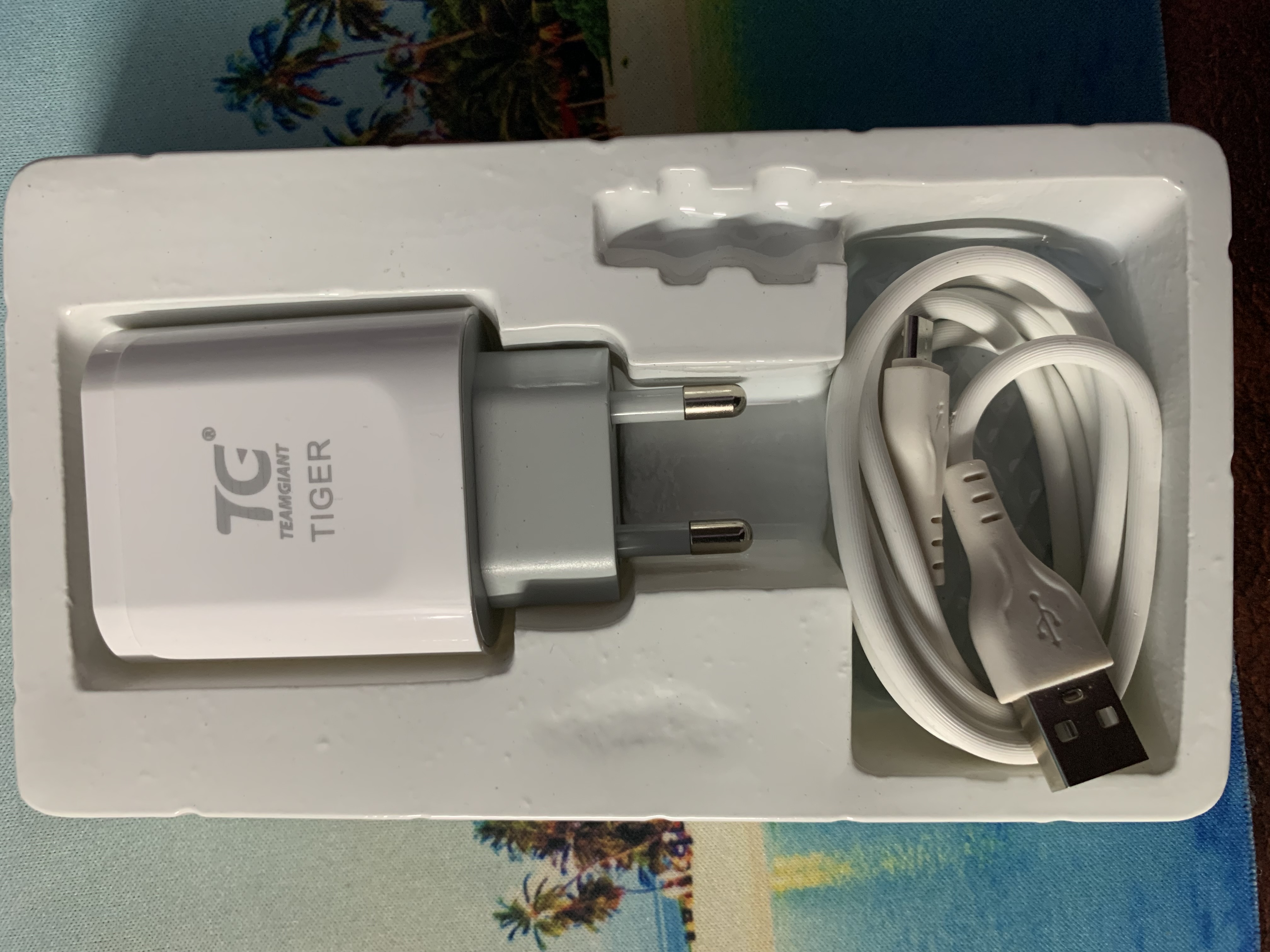 3.1A tiger 2Pin Fast Charger 18W 2USB Type C Type B Power Adapter With Cable For Mobile. 