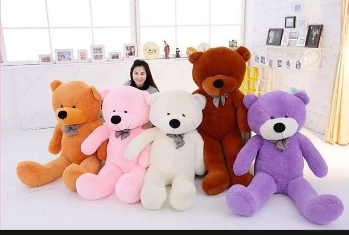 teddy bear 3 fit price