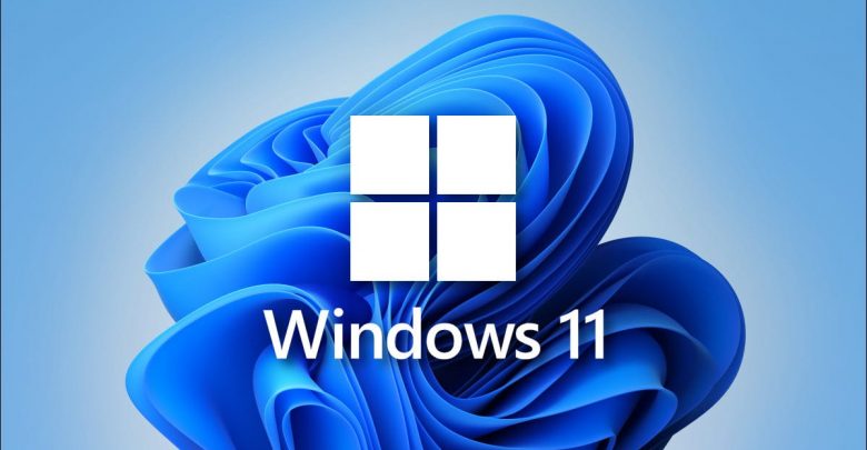 Windows 11 ((Professional Disk)). 