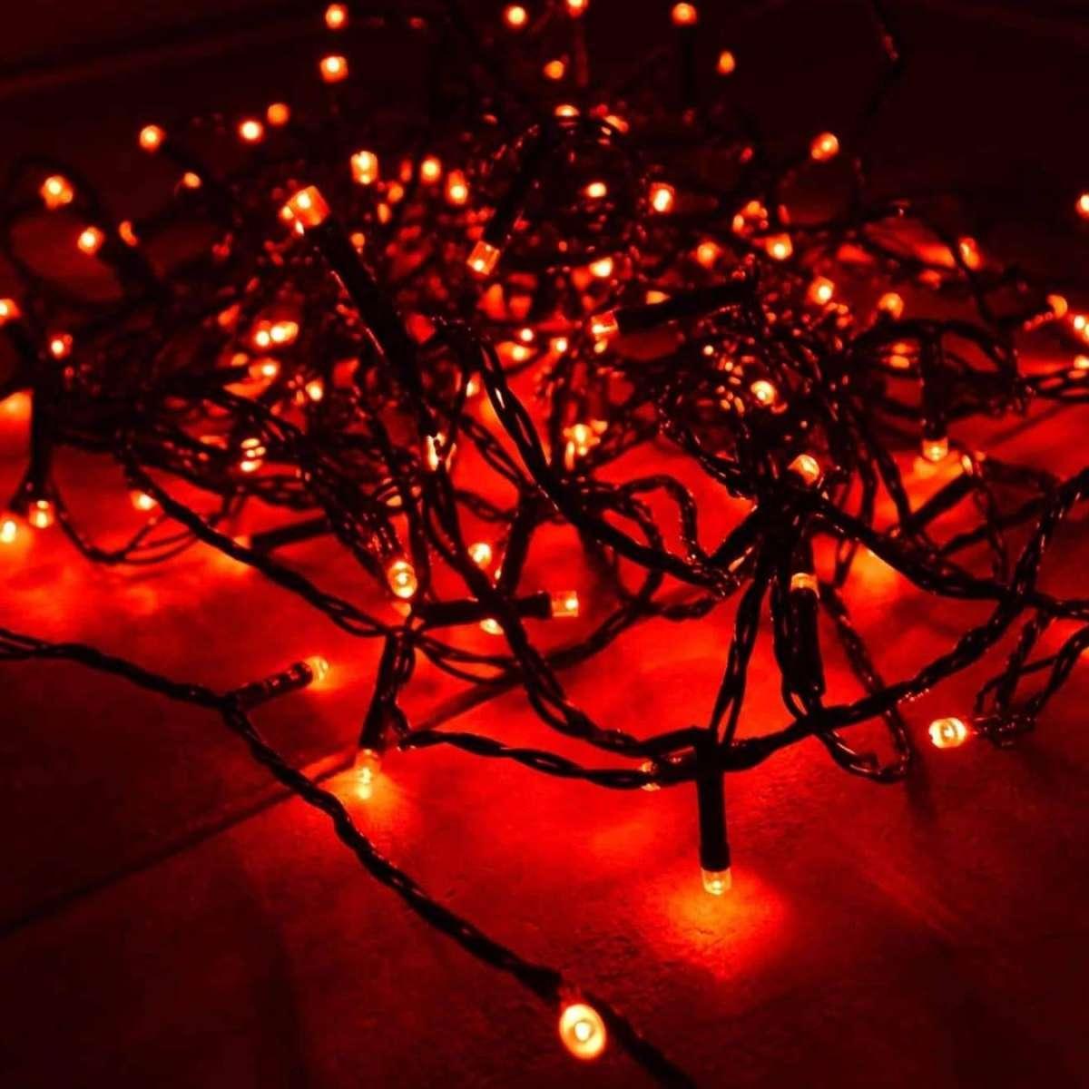 Buy Alo Online Shop Bd Fairy Lights At Best Prices Online In