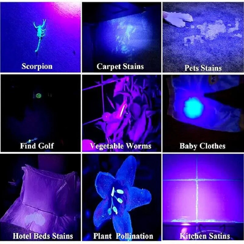 365nm 395nm UV Flashlight Rechargeable Ultraviolet Torch Use 12 Hours UV Lamp Black Light For Manicure Pet Urine Stains Examine. 