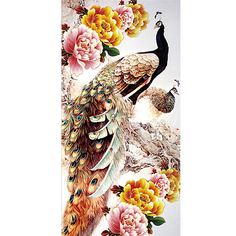 1070+ Gambar Burung Merak Poster Gratis Terbaik