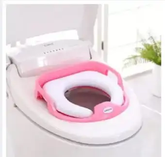 chicco potty seat