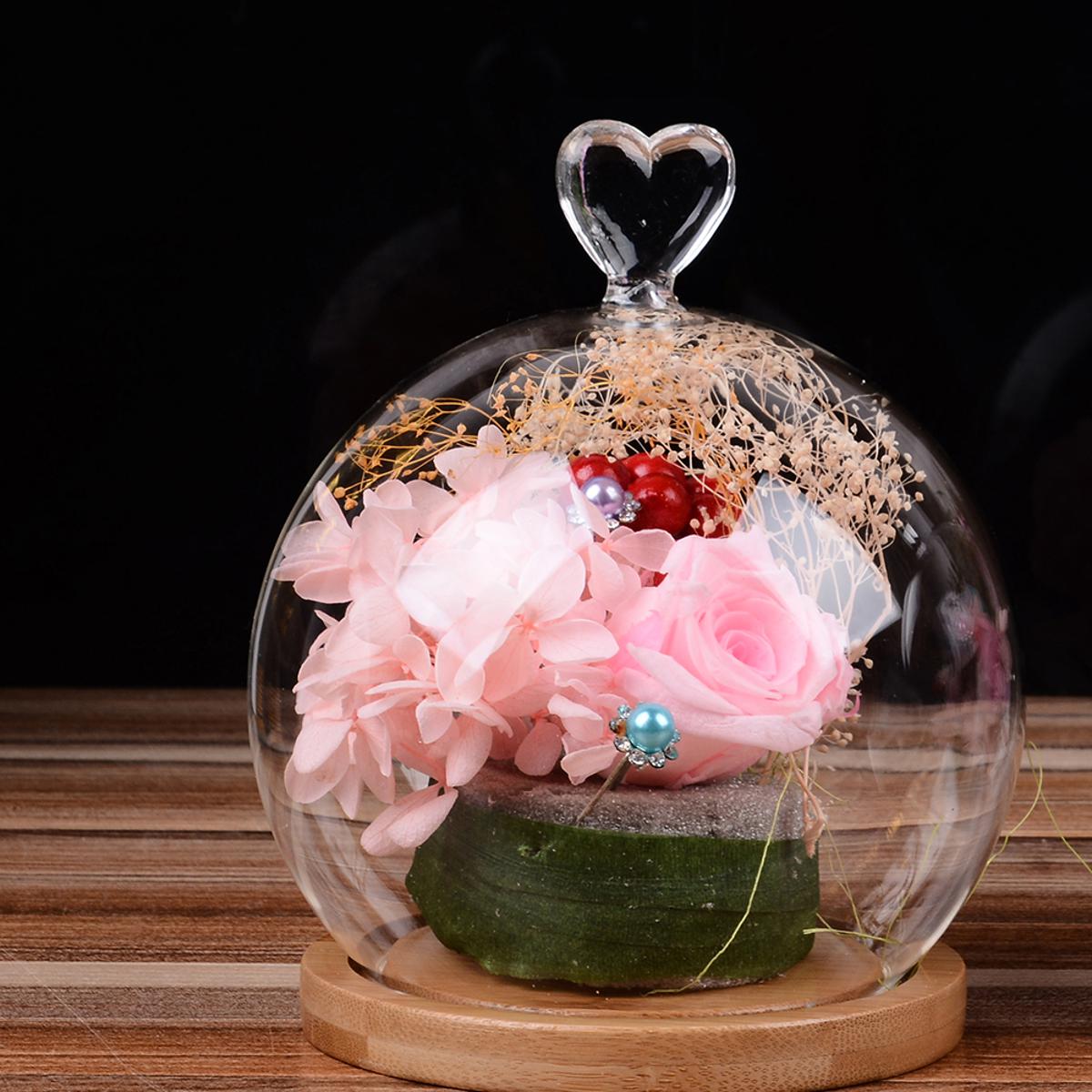 Glass Globe Display Dome Cover with Wood Base art Shape Handle e Decoration
