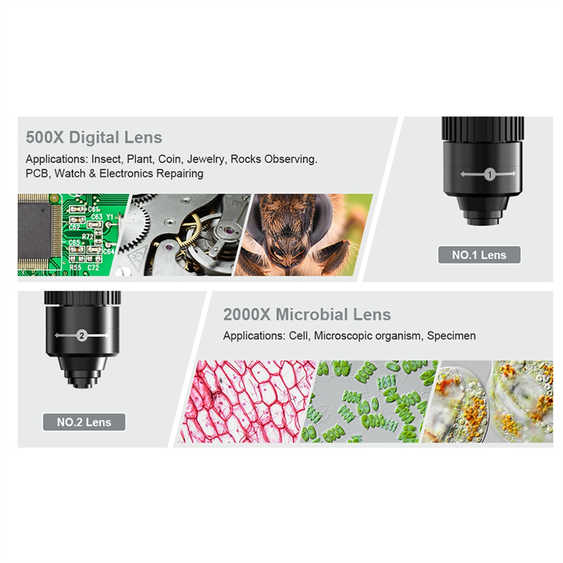 2000X Biological Digital Microscope USB Microscope. 