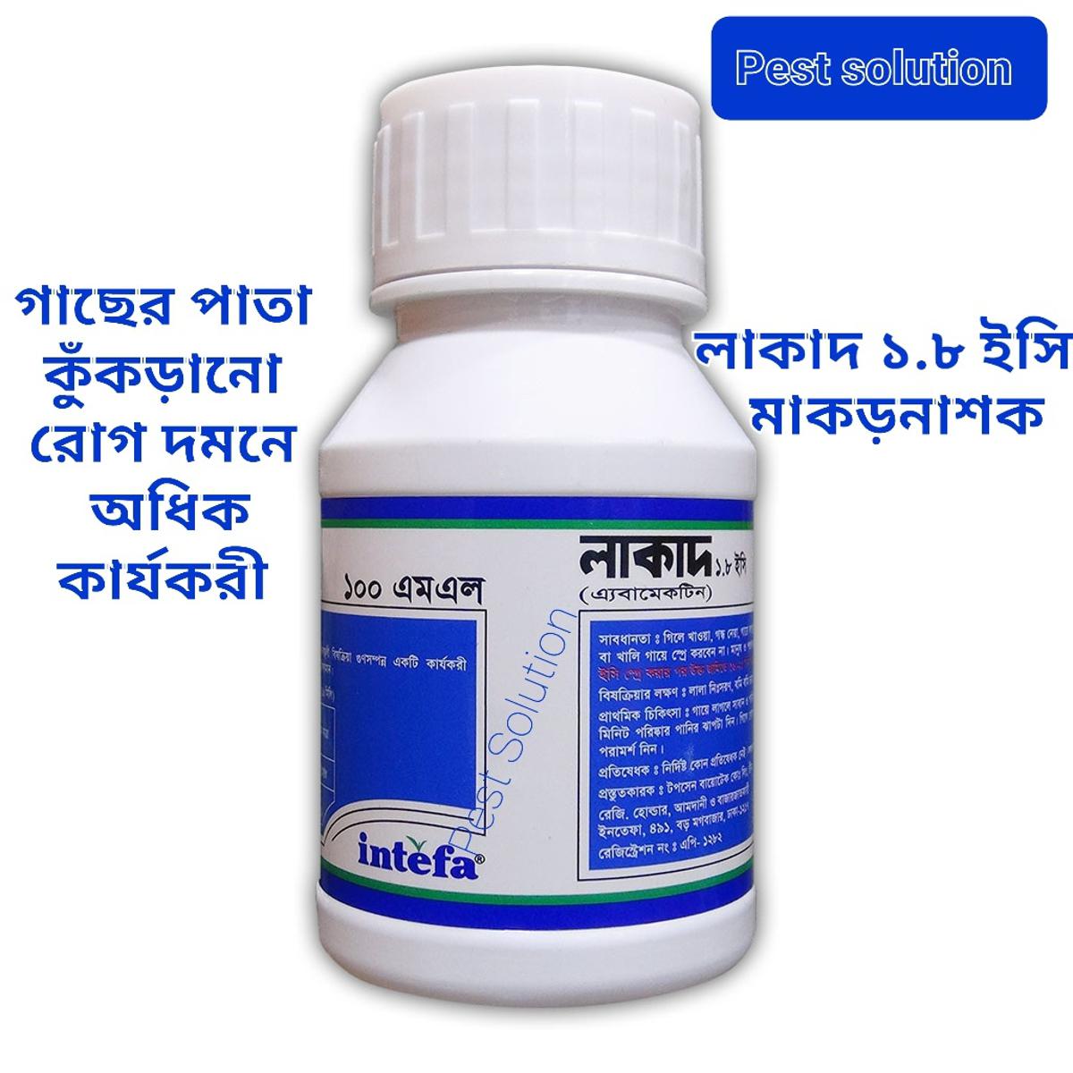 Rus porno videolarini onlayn tomosha qiling