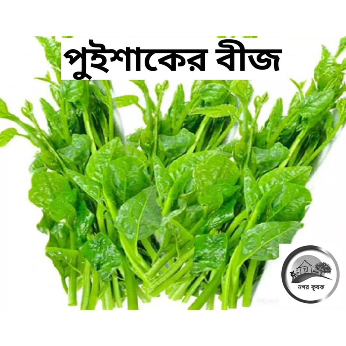 Olmaota talabalar porno