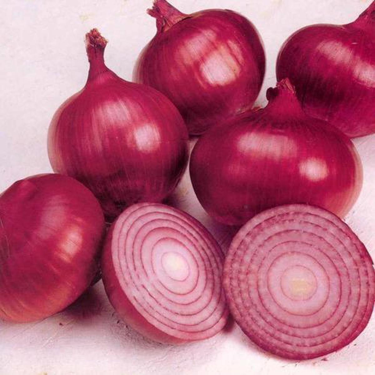 100 Pcs Red Onion Seeds - 100 Pcs Seeds (Imported Global Seeds )