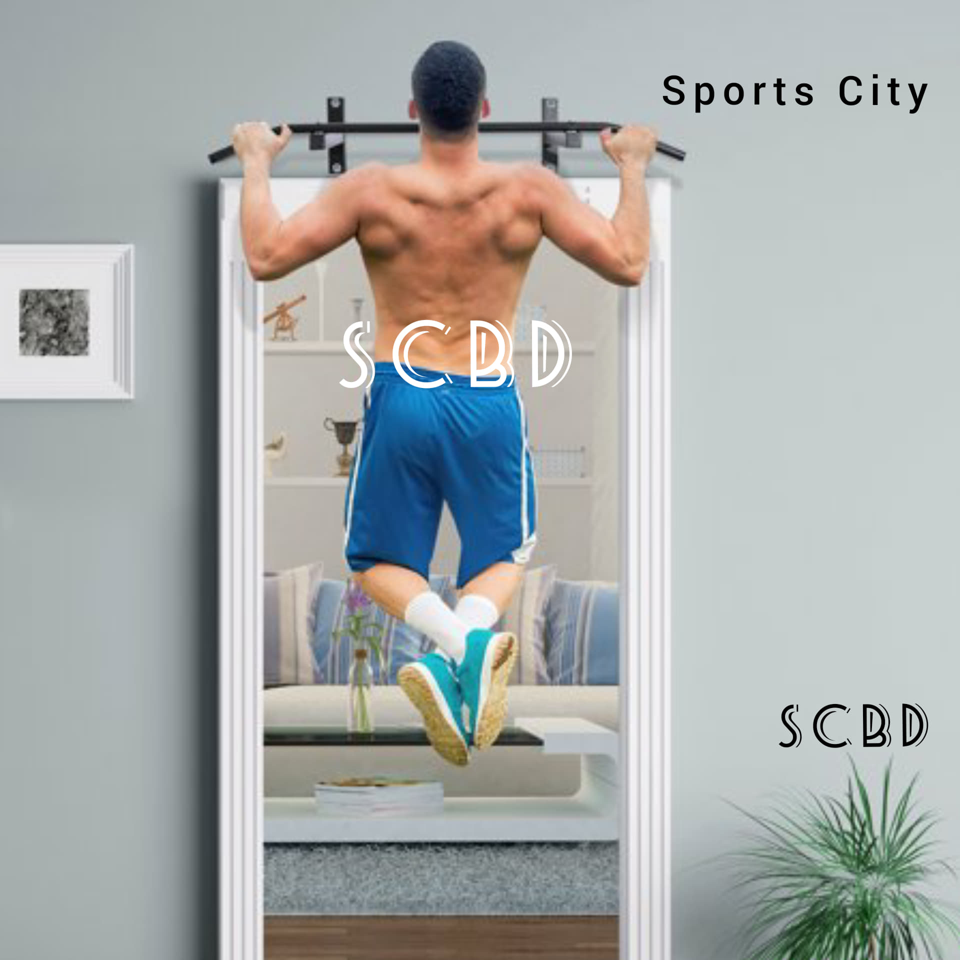 Pull up Bar _ Premium Quality _SCBD. 