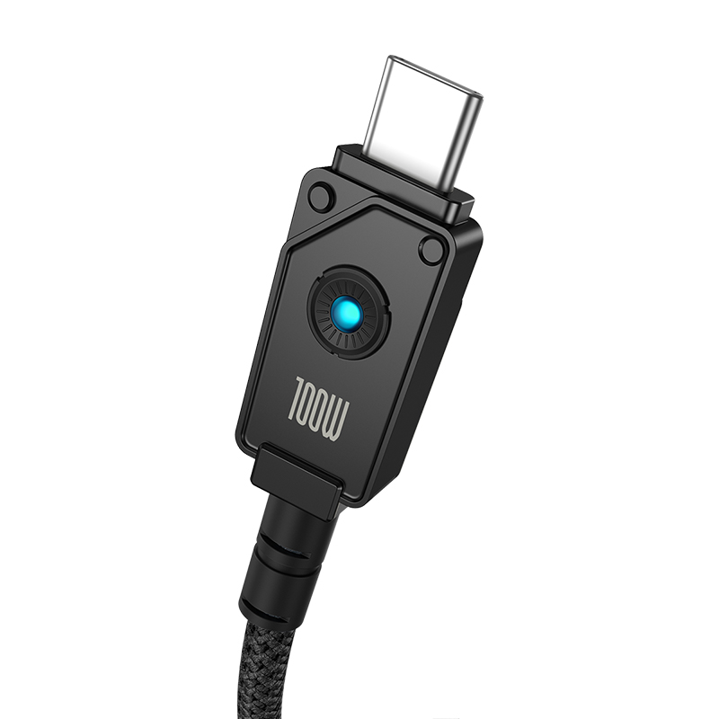 Baseus Unbreakable Series Fast Charging Data Cable Type-C to Type-C 100W 1m Cluster. 