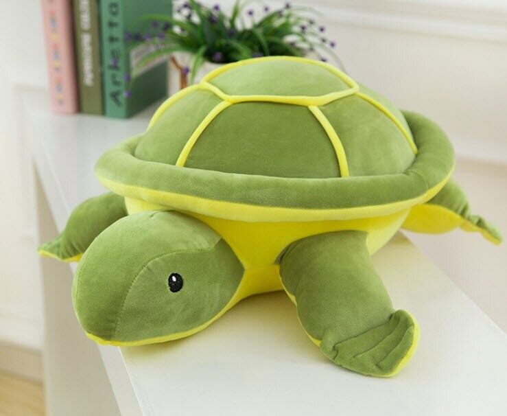 Tortoise teddy sales