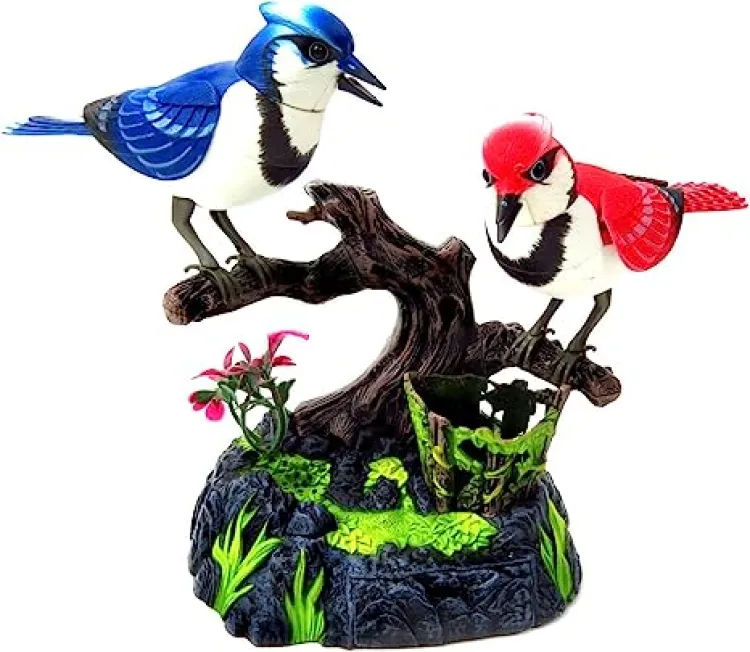 Beautiful bird clearance toy