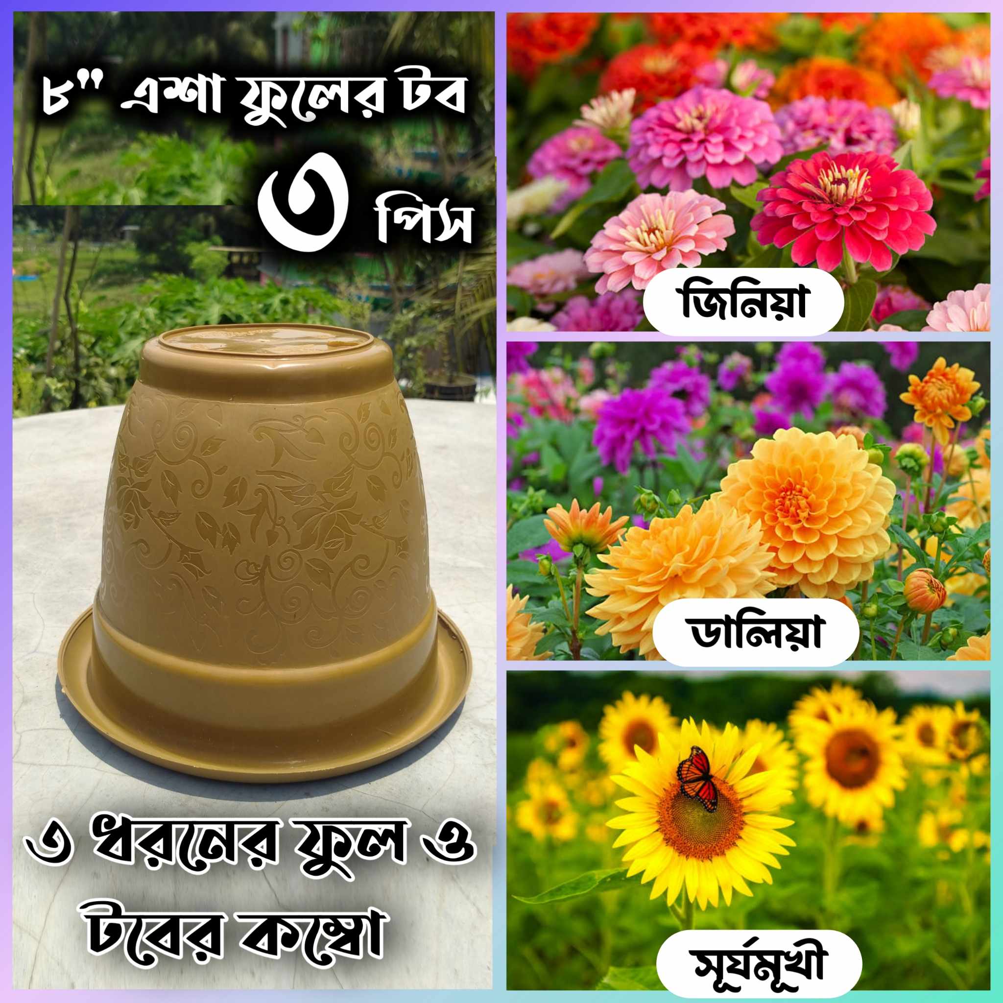 Flower and Tub Combo .3 Pice Tub-3 Type Flower (Zinnia,Dalia,Sunflower)