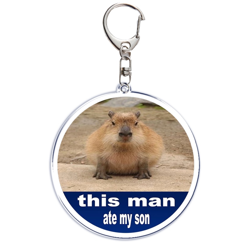 Fun Capybara Acrylic Keychain This Man Ate My Son Ok I Pull Up Letter Double Sided Key Chain Key Ring Keychains for Friends Gift. 