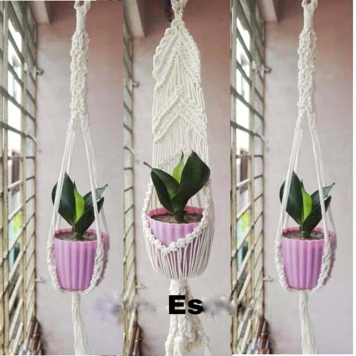 Plant Holder Combo