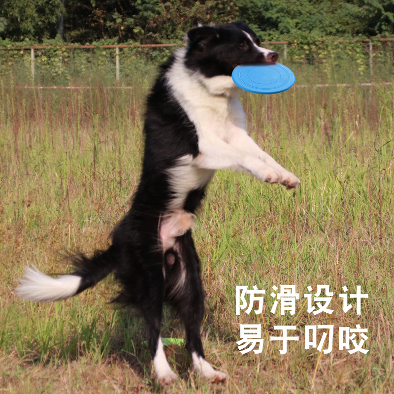 pet toy dog frisbee pet interactive training frisbee floating water resistant and bite resistant soft frisbee. 
