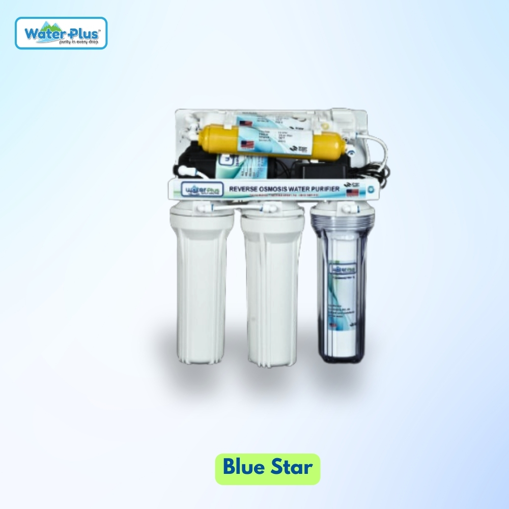 Blue Star RO Machine (Open Type)