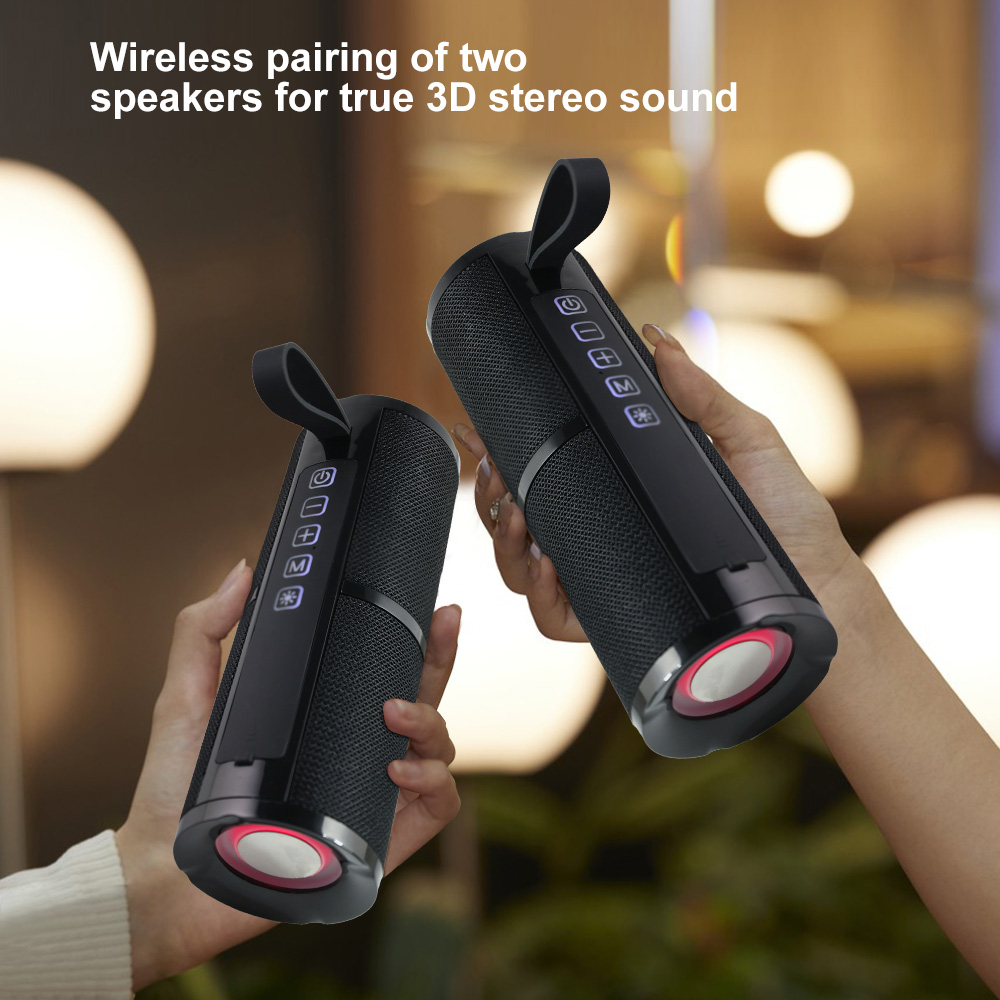 WISE TIGER FM Radio Speaker Bluetooth Speaker BT5.3 Portable Bluetooth Speaker with RGB Light USB TF Card Slot 10W TWS Dual Pair. 