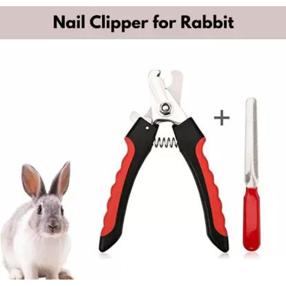 Rabbit 2024 nail trimmers