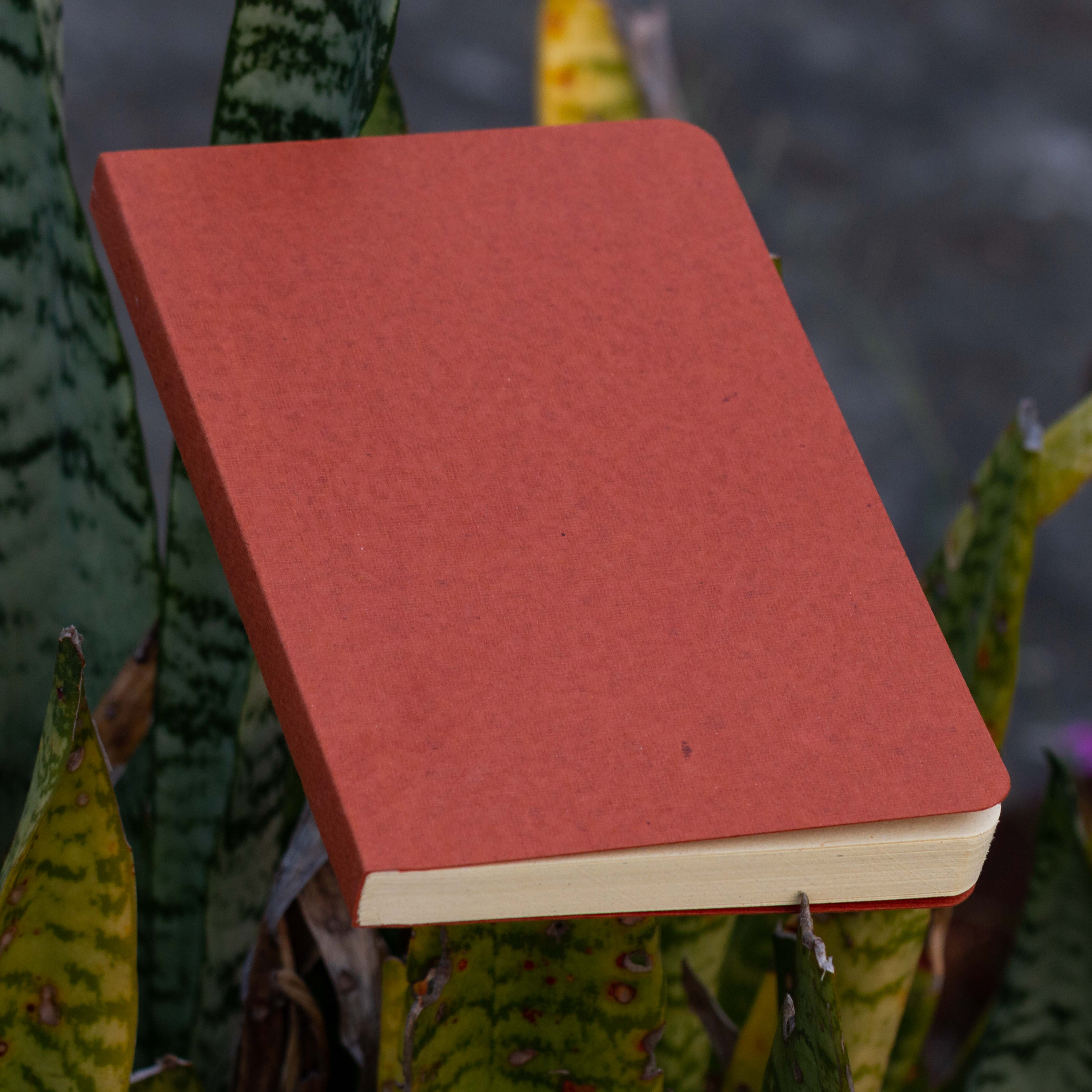 Tent Series Yellowish Page Hand Made Pinewood Texture Cover Notebook. 