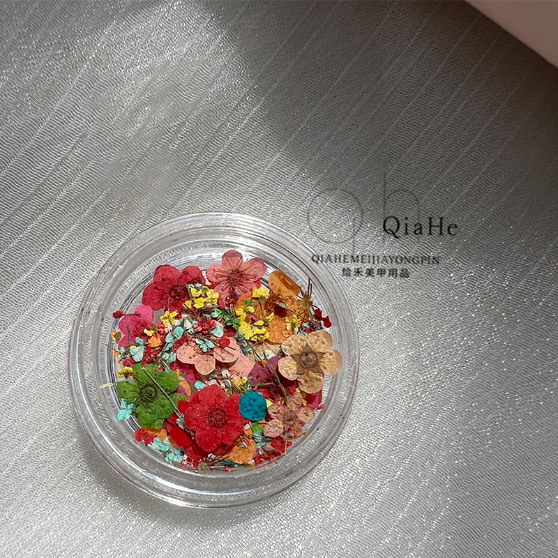 1 Box Daisy Nail Art Diy Decorations Japanese Style Uv Gel Dried Flower Mixed Color for Nails Art Charms Flower Beauty Decor