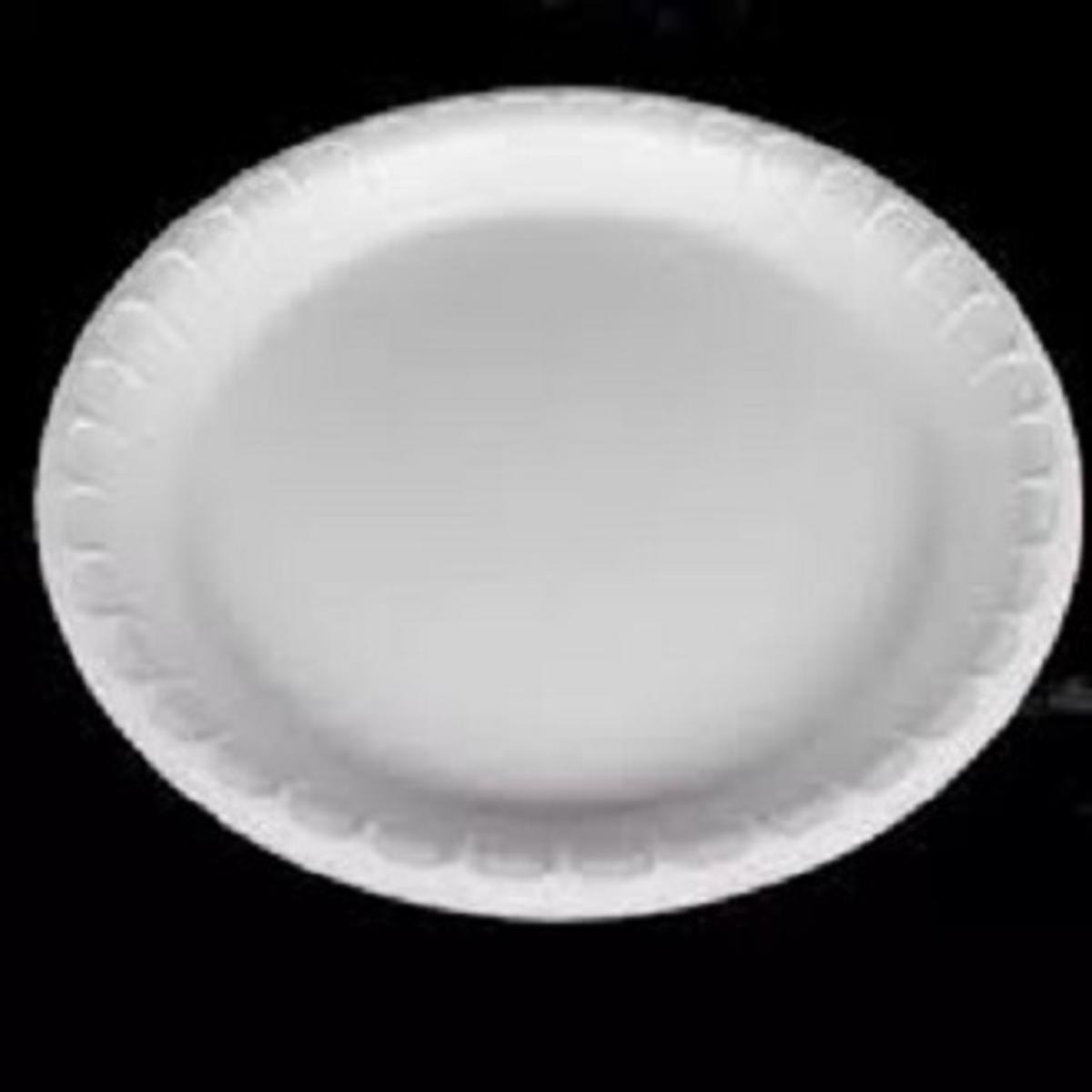 20 pcs Disposable Plastic Plate 9.5 inch One Time Use Plat Ideal for Outdoor birthday party Wedding anniversary