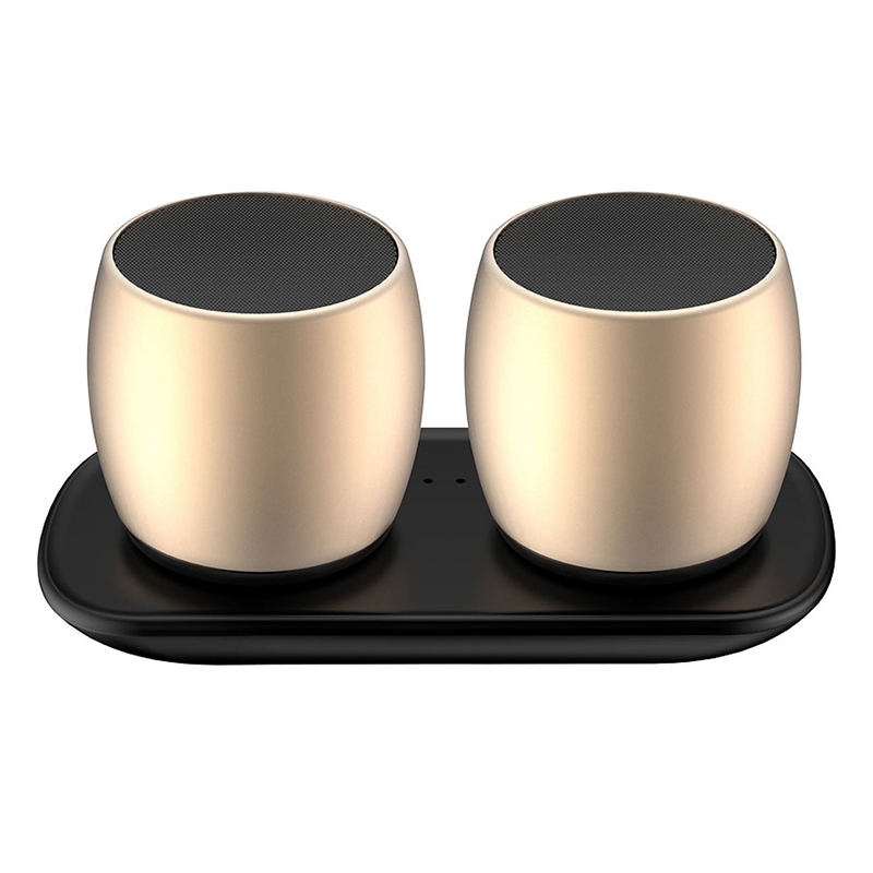 SARDiNE F1 Aluminium Alloy Stereo Wireless Bluetooth Speaker with Charging Dock, Support Hands-free