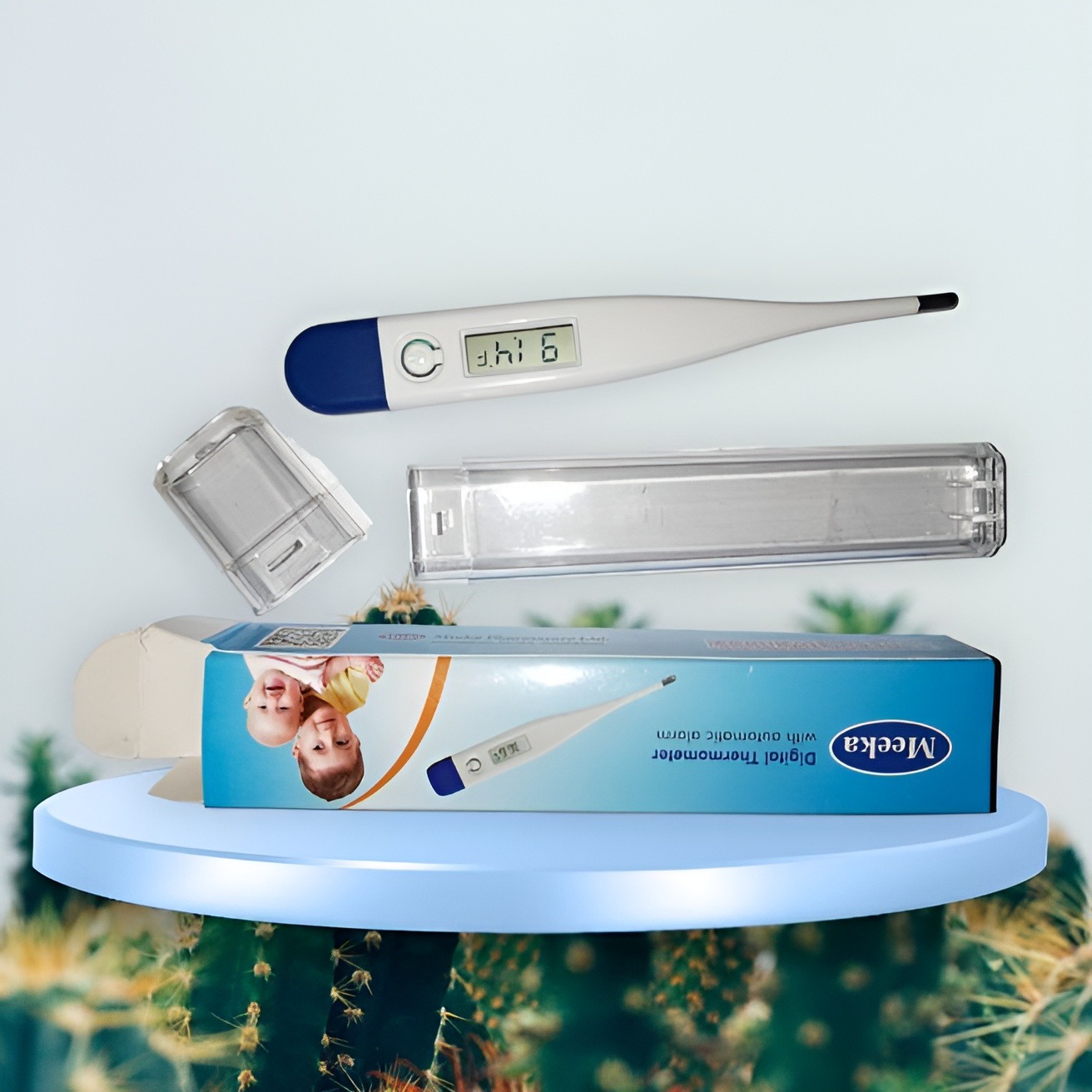 Digital Thermometer Can Read Fahrenheit [Made In China]. 