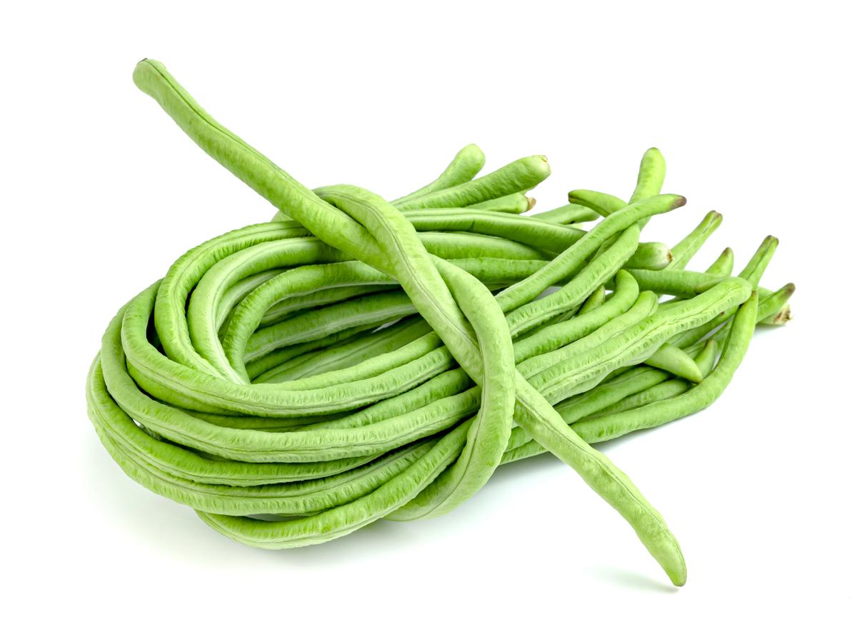 Progressive - Hybrid Yardlong bean (Borboti) seeds 1 intake packet (05 gram) - Tools, DIY & Outdoor - Modern and Trendy- Vibes. 