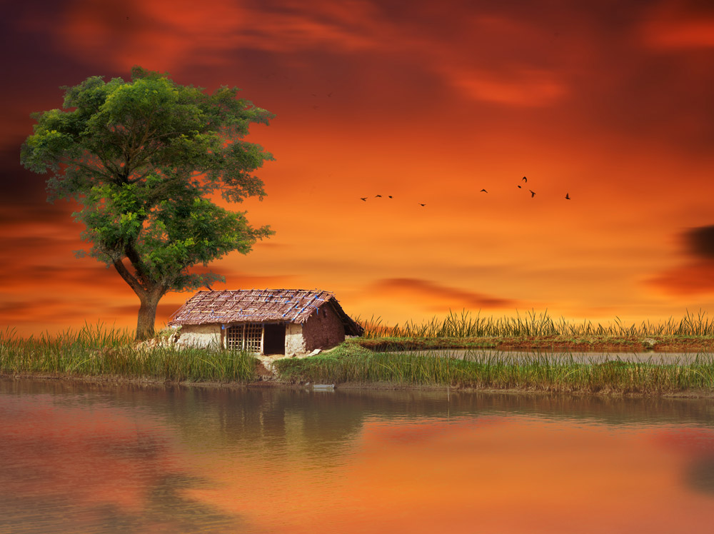 CNVS-557  60″ inch x 36″ inch   Hut During Sunset In A Small Village Of Bangladesh. 