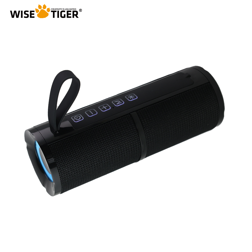 WISE TIGER FM Radio Speaker Bluetooth Speaker BT5.3 Portable Bluetooth Speaker with RGB Light USB TF Card Slot 10W TWS Dual Pair