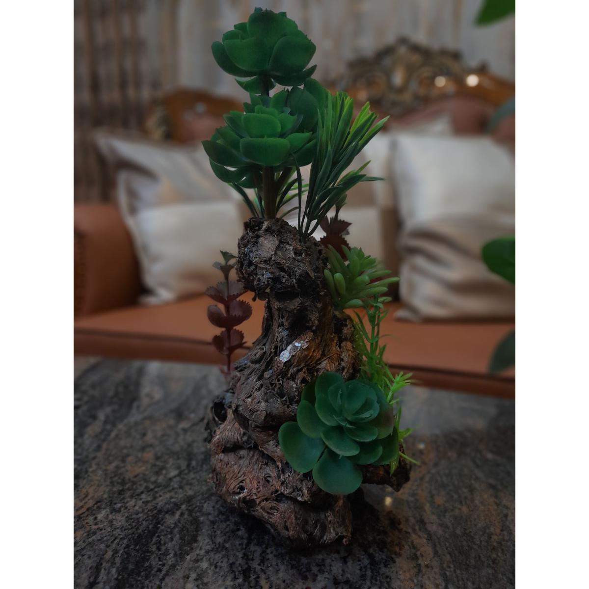 Tree bonsai