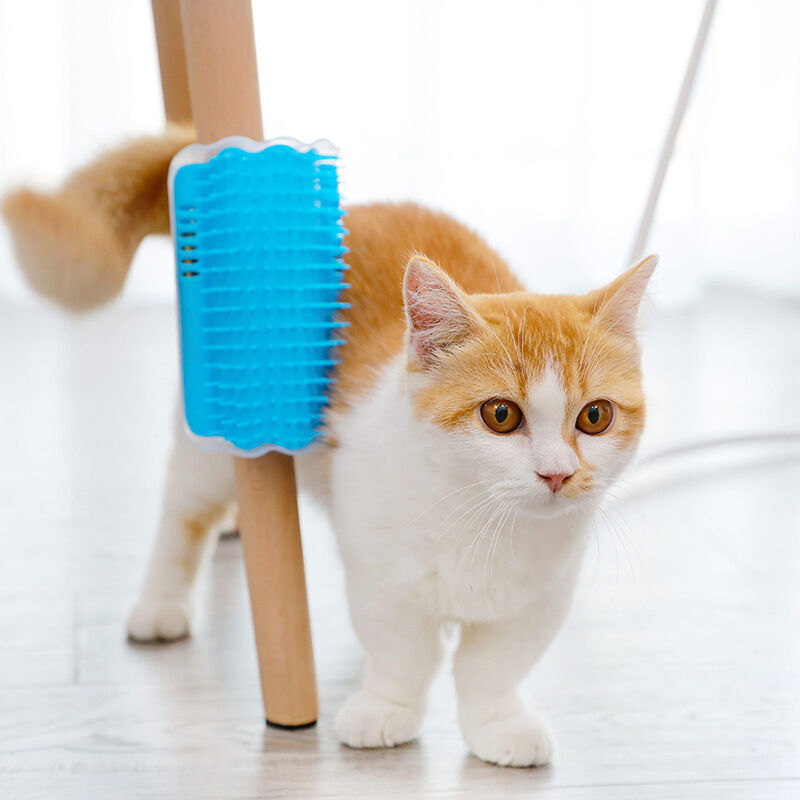 Cat Tool Corner Scratching Pet Hair Removal Massage Comb with Caip for Self Relaxation Toy. 