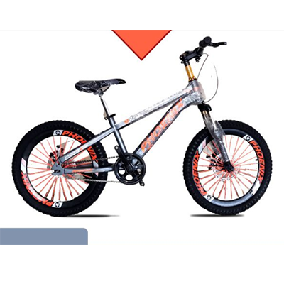 phoenix gear cycle price