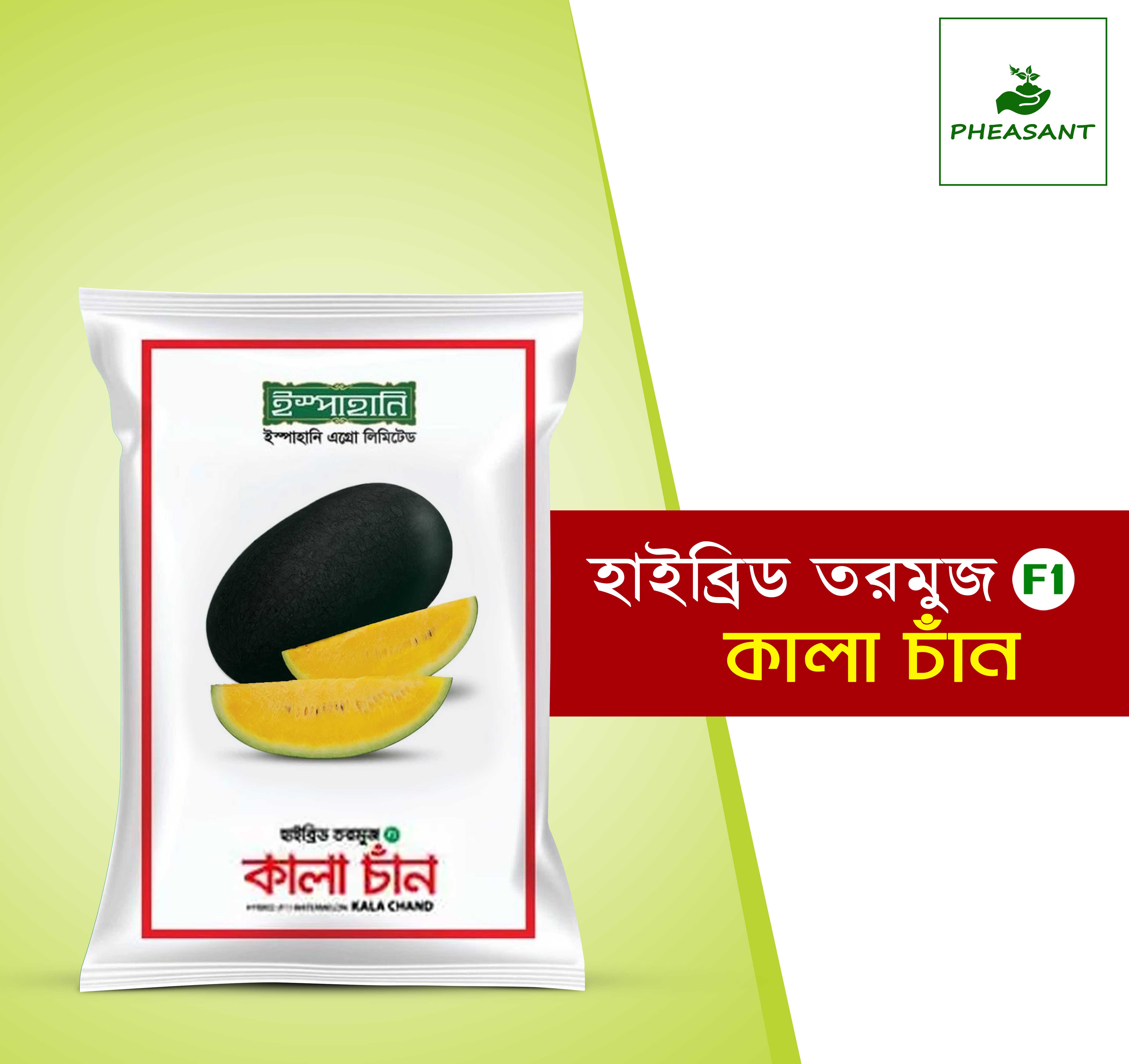 Hybrid (F1) Watermelon Seed (তরমুজ) Kala Chand (Mini Intact Packet) - 0.25 gm
