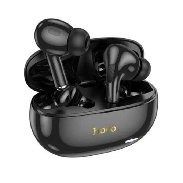 Hoco EW60 Plus Norman true wireless ANC Bluetooth Earbuds. 