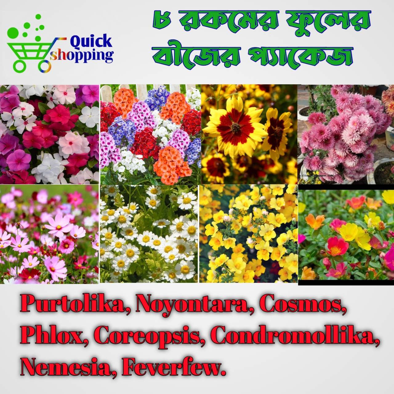 All Season 8 Types Flowers Seeds 80+ Pis - Seeds